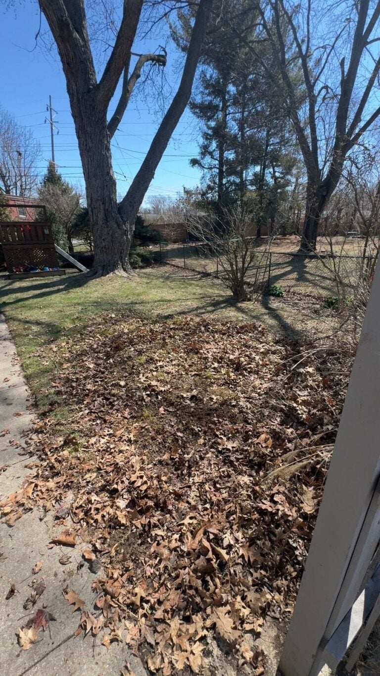 Yard Waste Removal This Fall: Get the Brush Pile Gone Before Winter